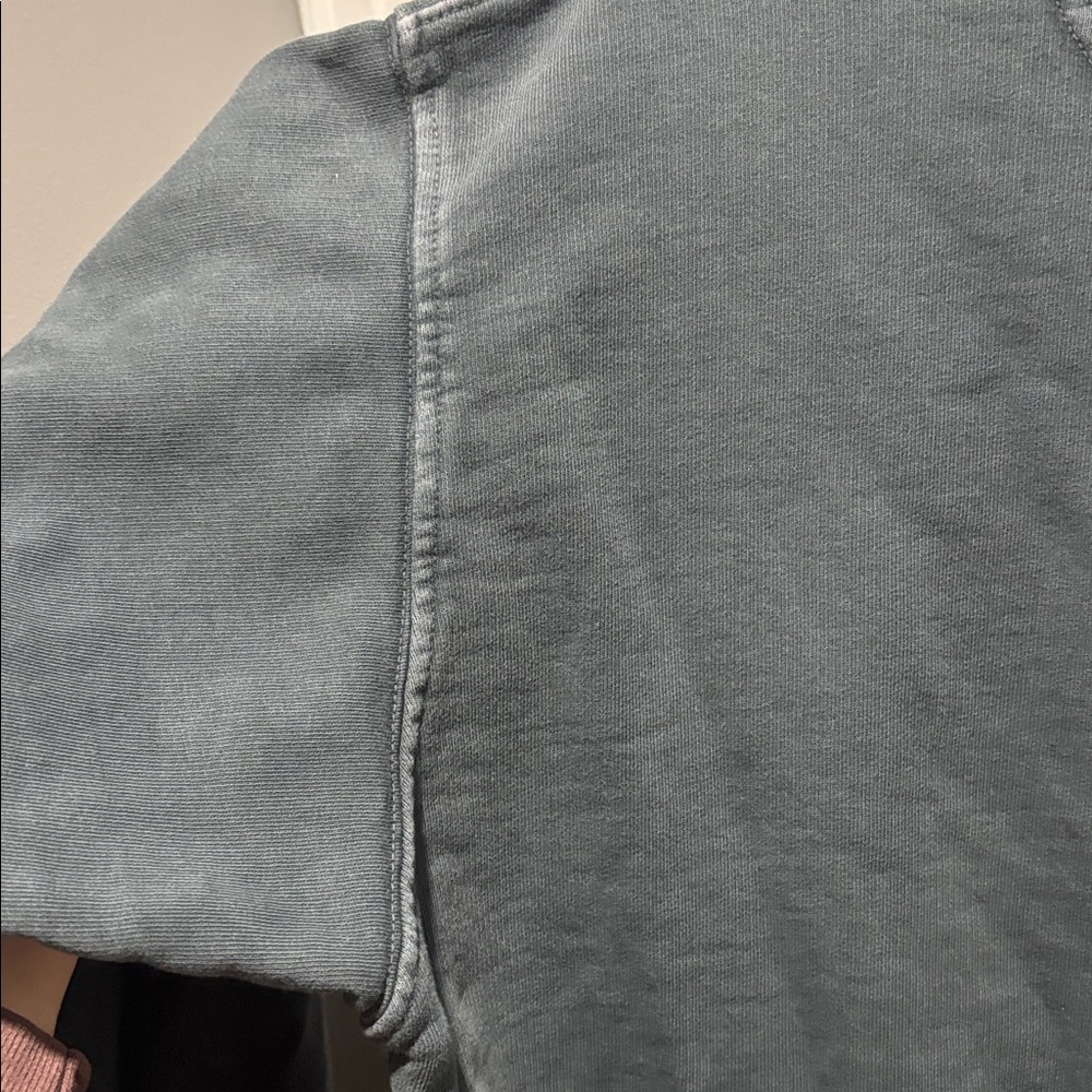 ANINE BING rare wild cat crewneck sweatshirt - Picture 8 of 9